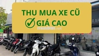 THU MUA XE CŨ GIÁ CAO