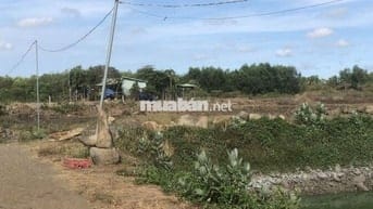 Đất vườn 2,6 ha tại xã Đất Đỏ, TP HCM