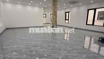 Cho thuê biệt thự Thqbh Hà đường 25m đã hoàn thiện