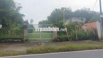 Bán 3977m2 Phú Mỹ Hưng, Củ Chi thửa 959