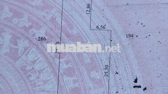 Giá rẻ đất Tân Phong, Thạnh Phú, Bến Tre 507m2. giá 350 triệu HH 3%