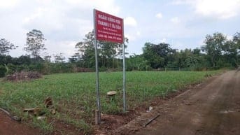 Công ty đấu giá hợp danh Sao Việt