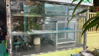 Cần thanh lí xe tủ kiếng bán trà sữa hay bánh mì..v..vv..