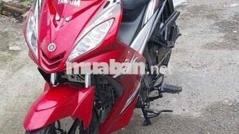 ex 135 zin xuống áo