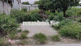 Đất Hưng Định Thuận An cũ Ngay sau nhà Thờ Búng đường 4m 6x34 thổ 120m