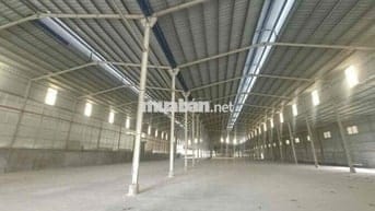 Cho thuê kho Tân Hạnh , Biên Hoà 2.500M