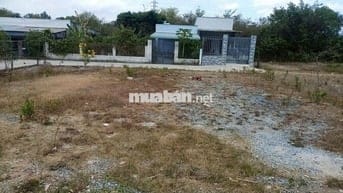 BÁN ĐẤT Chính Chủ 250m2 1ty799 TL SỔ SẴN SANG TÊN CÔNG CHỨNG NGAY