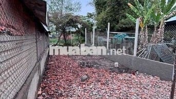 Nền Khu vực phú mỹ, cách đại học tây đô 1,4km lộ oto