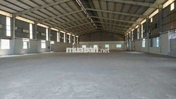 Cho thuê nhà xưởng 3000m Thuận An