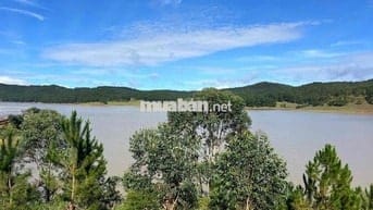 Chính Chủ bán đất view mặt hồ Đan Kia đối diện là Đồi cỏ hồng