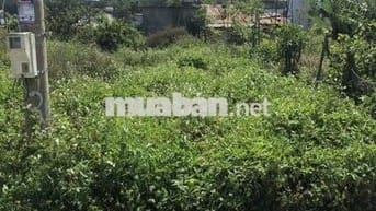 Đất sổ đỏ 137m2, Đà Lâm, Đà Loan, Đức Trọng, Lâm Đồng