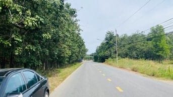 Mặt tiền đường tỉnh DT744 đất thành phố Hồ Chí Minh