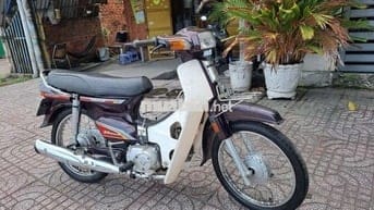SANDA BOSS BOSS C50 2020 Nâu