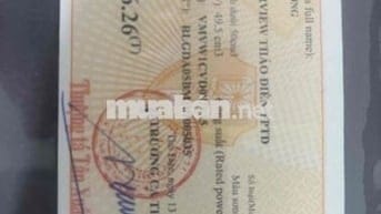 bán xe SWM - SHARK 50Cc