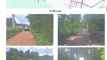 BÁN ĐẤU GIÁ TS MSB L3_TT NGÃI GIAO, CHÂU ĐỨC, BR-VT, NAY LÀ TPHCM