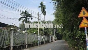 Đất mặt tiền đường nhựa gần KDL Đại nam