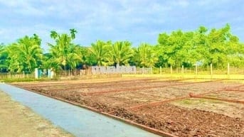 Chính chủ cần bán 2 lô mặt tiền 260m2 780triệu/lô  đang lên đường nhựA