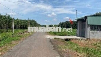 Bán đất thổ cư cách q14 1km có sổ sẵn