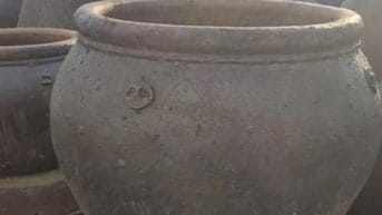 chậu gốm cây cảnh trồng sân vườn, văn phòng