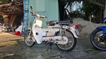 Honda Cub81 50cc