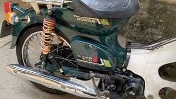 bán cúp nhật 8150 nguyên bản ngon 