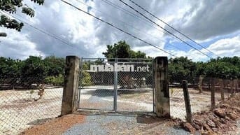 ⚡ Giá Sốc 300tr: 1.500m² Vườn Mít Đẹp, Đường Rộng, Sổ Rõ Ràng