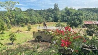 CHỈ 245 TRIỆU - SỞ HỮU NGAY ĐẤT VƯỜN CỰC CHILL