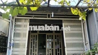 Cần bán nhà Chính chủ - 4.2x18m (DTSD: 4.2x28m) Châu Đốc giá 1T8 TL