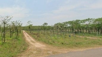 Đường DH504, Xã Phước Sang, Huyện Phú Giáo, Bình Dương