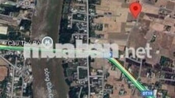 Cần bán nhanh 902mv đất lúa Long Phụng, Cần Giuộc (chính chủ)