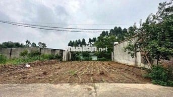 KHÔNG CÓ LÔ THỨ 2, ĐẤT THANH ĐÌNH 303M2, GIÁ ĐẦU TƯ  SINH LỜI CAO