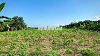 ĐÁT GIÁP HỒ TRỊ AN LA NGÀ ĐỒNG NAI