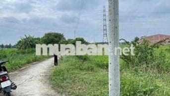 Chính chủ bán sỉ lẻ 5 lô đất Phường 5, Tân An