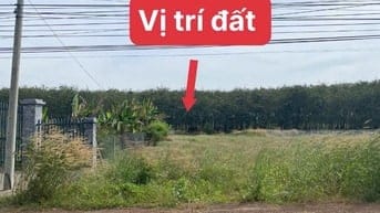 Mặt tiền tỉnh lộ 744 Minh Thạnh - Tp.HCM , 10m mặt tiền giá cực tốt.