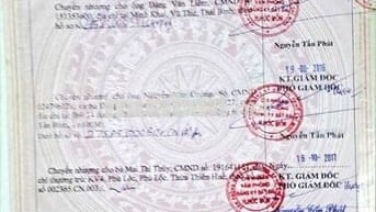 Đất ở đô thị 88 m2 đường Nguyễn Thị Thử, xã Xuân Thới Sơn, TPHCM