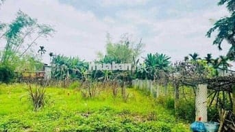 Chính chủ cần ra gấp lô đất trước tháng 12 tại Thị Xã Điện Bàn