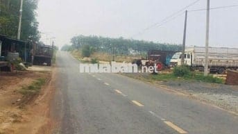 Bán Rẻ Đất Lai Uyên Bàu Bàng 450tr 265m2.Gần chợ đường lớn