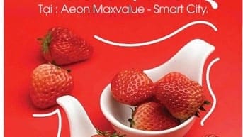 LỄ HỘI DÂU TÂY HÀN QUỐC – NGỌT NGÀO KHÓ CƯỠNG