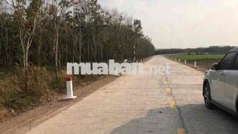 9 mẫu rưỡi hòa thanh Châu Thành, mặt tiền 590 mét ,