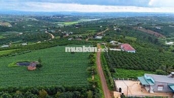 BÁN LÔ ĐẤT 1000m²  – TÂN HÀ, LÂM HÀ
Giá chỉ 750 triệu