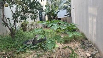 Bán Đất - Mai Đình -Sóc Sơn - 73M2 Full Thổ Cư - 2,6 Tỷ