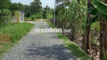 Bán 1 lô đất vườn trái cây An Tây Bến Cát Bình Dương cũ