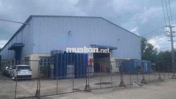 cho thuê xưởng (thuận an, bình dương cũ)  💥diện tích xưởng : 1500m2  s