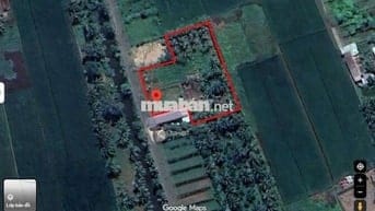 THỔ CƯ & ĐẤT TRỒNG CÂY GÒ CÔNG TÂY