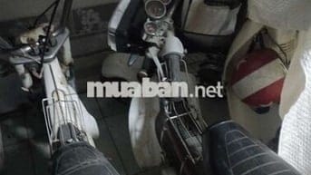 Honda Chaly màu Trắng