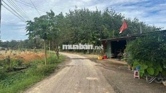 Đất sẵn thổ cư 100m dân cư hiện hữu giá rẻ