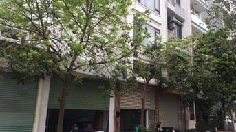 Bán đất liền kề Dương Nội giá đầu tư: Diện tích 50m2, giá 11 tỷ