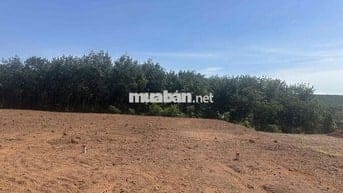 Đất tuyến xuyên tâm 32m giá rẻ