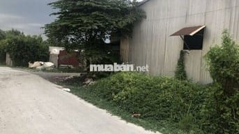 CHÍNH CHỦ BÁN NHÀ XƯỞNG 20X52, ĐIỆN 3P TI250. BÌNH CHÁNH,TPHCM