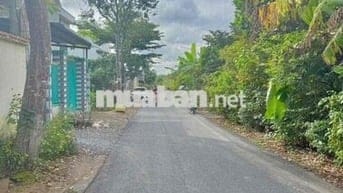 ĐÂT MẶT TIÊN HUYỆN 92 B - ĐẠO THẠNH MỸ THO